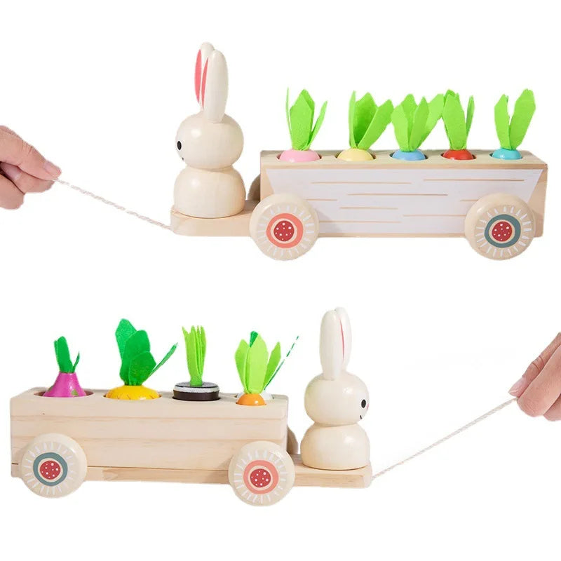 Wooden Children'S Educational Early Education Toy Creative 2 in 1 Pull Radish Rabbit Pull Cart Fruit Matching Toy Wholesale